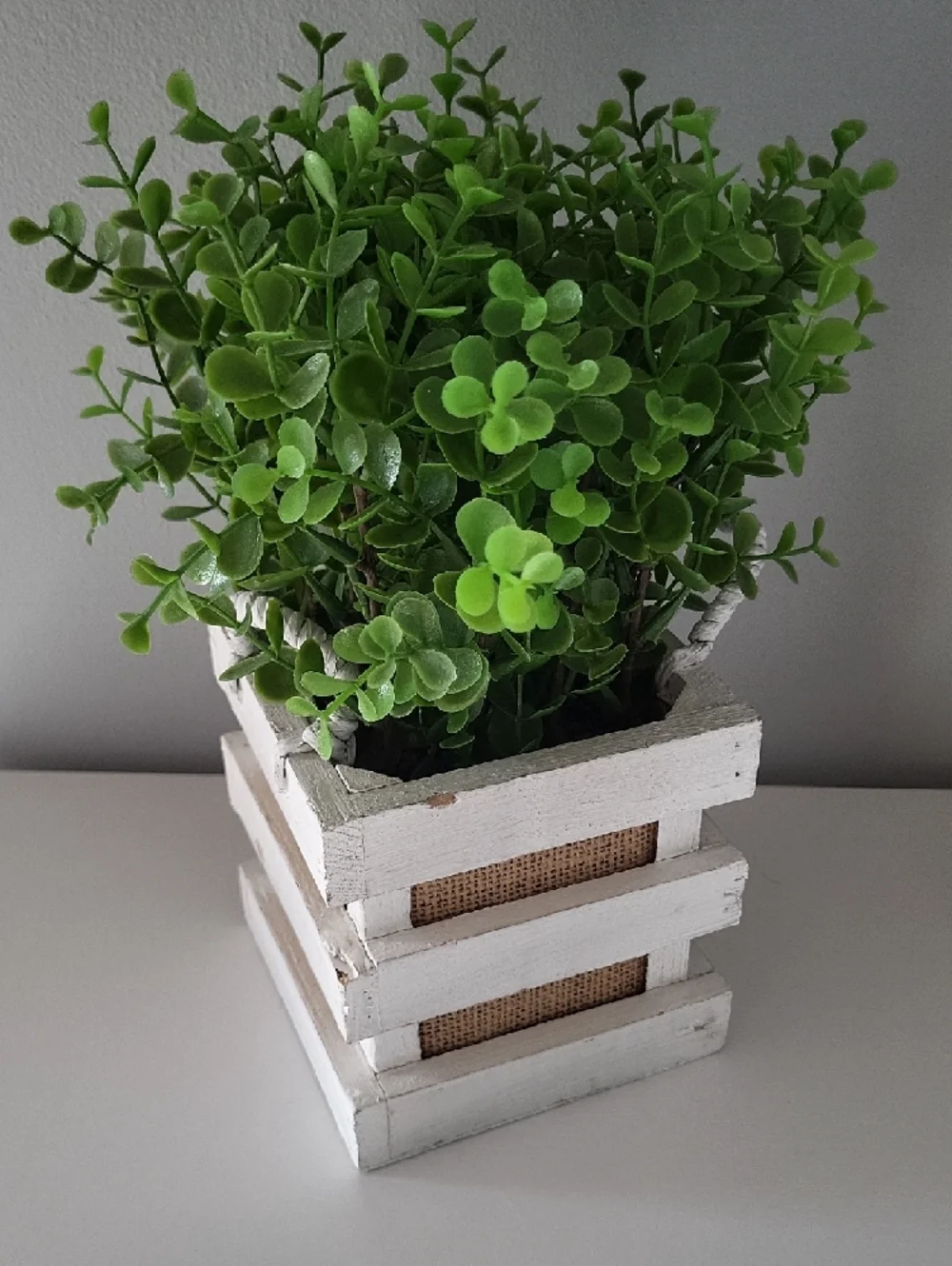 Green Faux Boxwood Plant in White Wooden Crate
